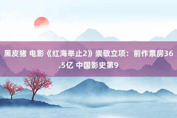 黑皮猪 电影《红海举止2》崇敬立项:前作票房36.5亿 中国影史第9