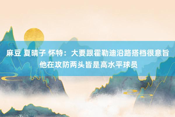 麻豆 夏晴子 怀特：大要跟霍勒迪沿路搭档很意旨 他在攻防两头皆是高水平球员